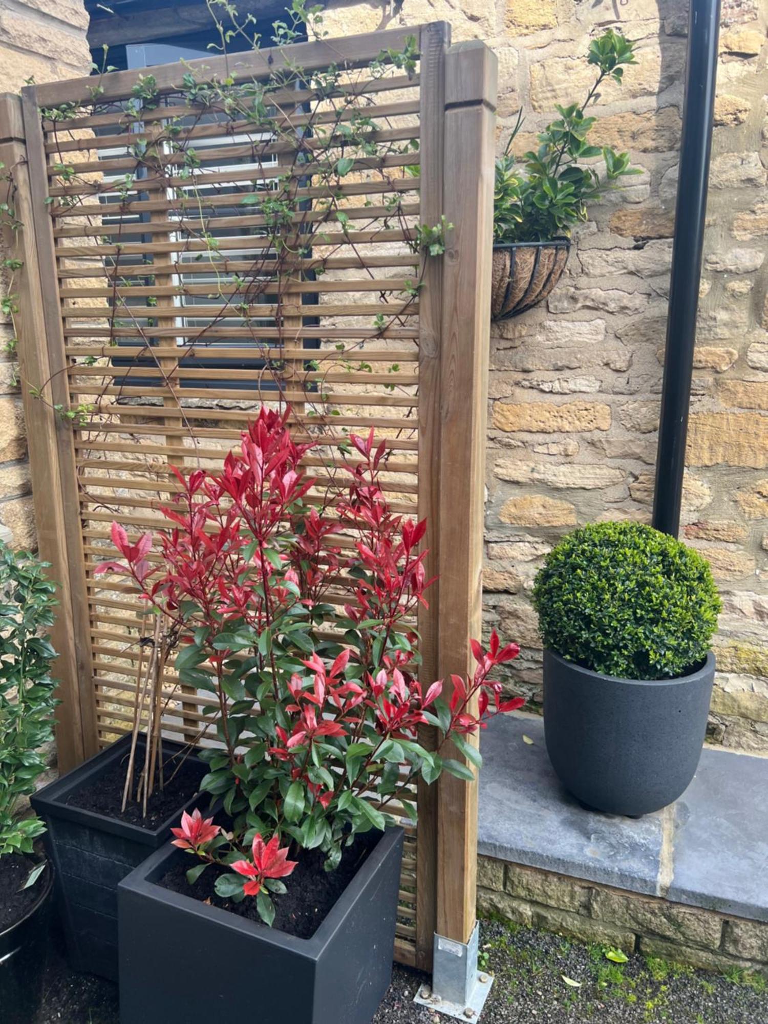 Priory Tearooms Burford With Rooms Luaran gambar